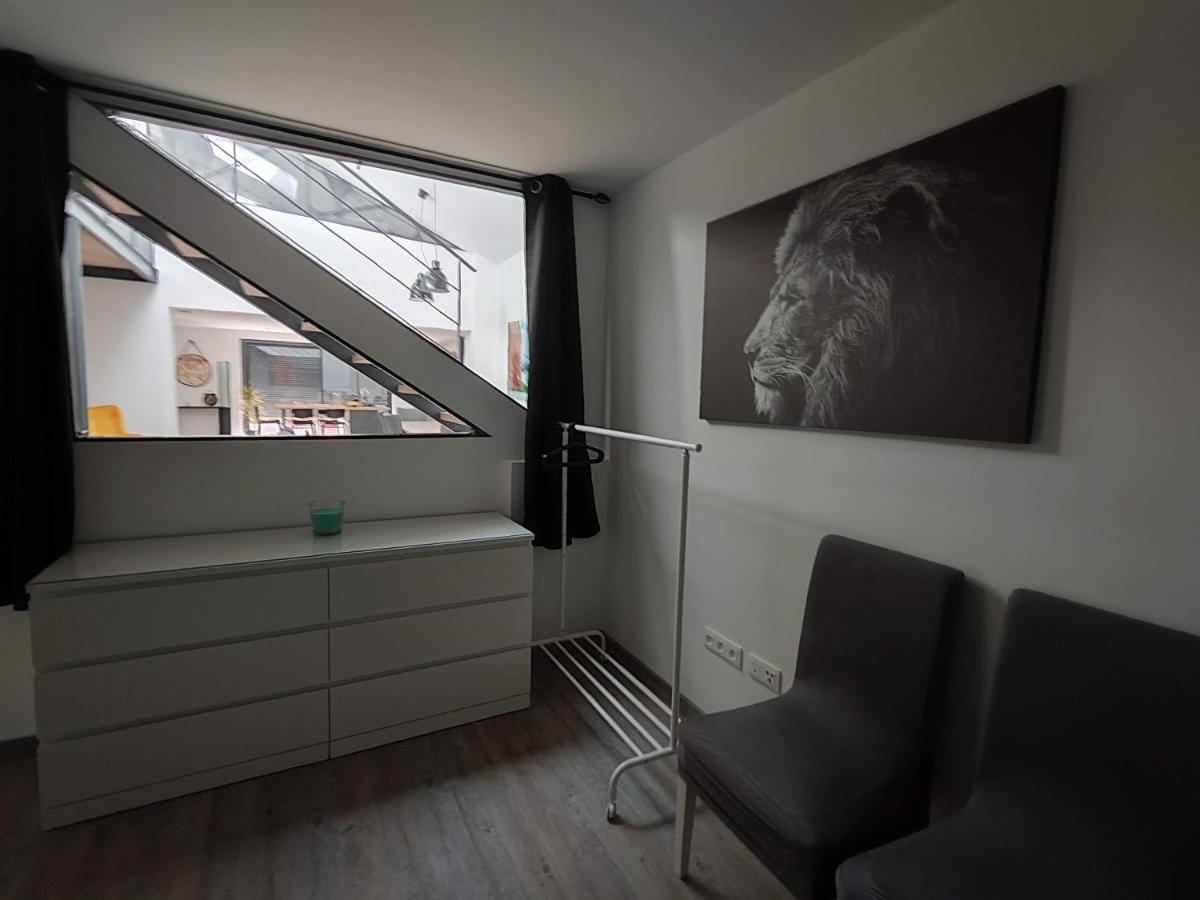 O Loft - 3 Chambres Avec 3 Salles De Bains - Parking - Climatisation Альби Экстерьер фото