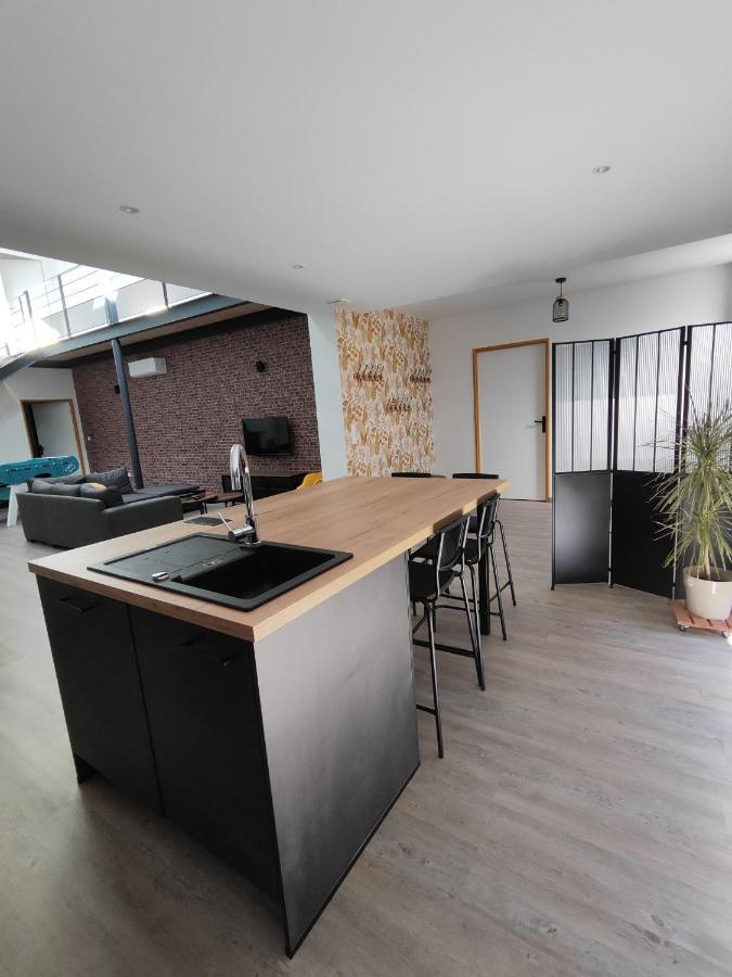 O Loft - 3 Chambres Avec 3 Salles De Bains - Parking - Climatisation Альби Экстерьер фото